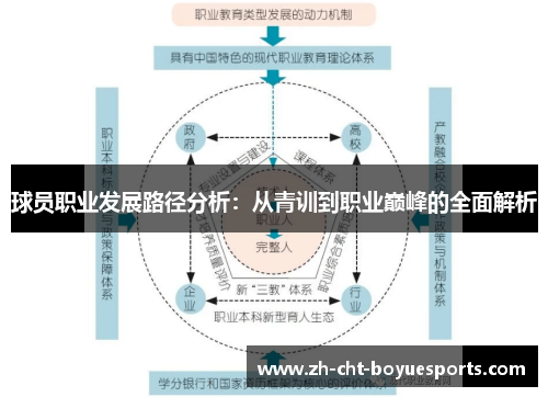 球员职业发展路径分析：从青训到职业巅峰的全面解析